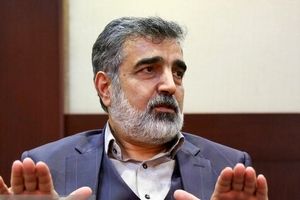  بازرسان آژانس بر تعویض سوخت نیروگاه اتمی بوشهر نظارت می‌کنند/ هر گونه بازرسی آژانس در ایران پس از توافق بر روی چارچوب ترتیبات همکاری‌ها و تایید شعام انجام می‌شود