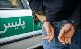 عامل دستبرد به صندوق عقب خودروها دستگیر شد