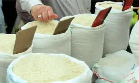 کاهش ۴۰ درصدی قیمت برنج در شمال کشور/ برنج خارجی ۱۵ درصد ارزان‌تر شد

