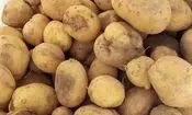عرضه گسترده سیب زمینی آغاز شد/ قیمت جدید سیب‌زمینی 