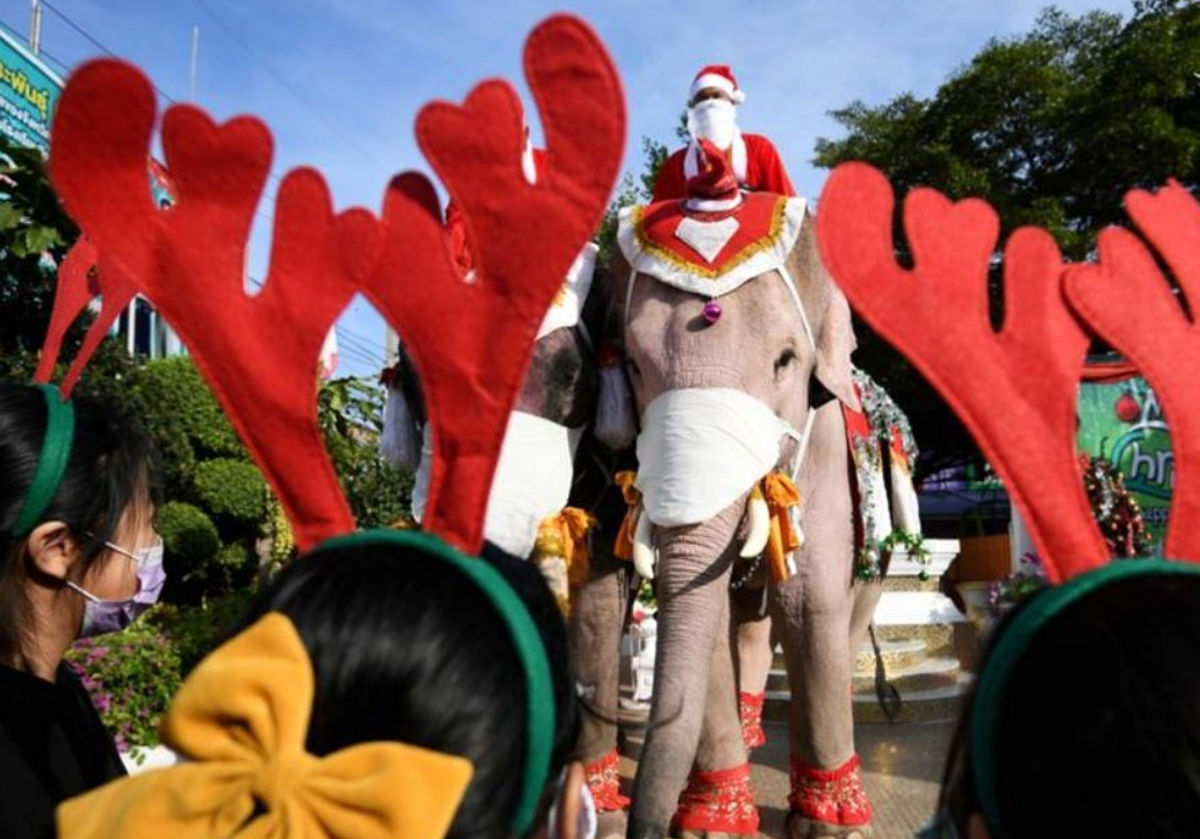 عجیب ترین بابانوئل جهان در تایلند/ ویدئو