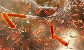 در یک پیشرفت نجات‌بخش نقطه ضعف مقاومت آنتی‌بیوتیکی شناسایی شد

