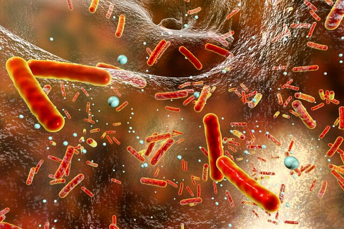 در یک پیشرفت نجاتبخش نقطه ضعف مقاومت آنتیبیوتیکی شناسایی شد