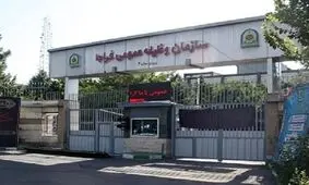 مشمولان فاقد معافیت تحصیلی امکان خروج از کشور و شرکت در مراسم اربعین را ندارند