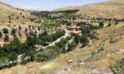 واکنش شهرداری به قطع درختان چیتگر و سرخه حصار: آفت زده بودند