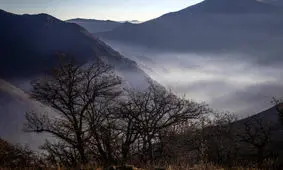 شایعه‌ای که رنگ باخت؛ آتش‌سوزی جدید در جنگل الیت تکذیب شد

