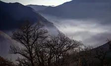 شایعه‌ای که رنگ باخت؛ آتش‌سوزی جدید در جنگل الیت تکذیب شد

