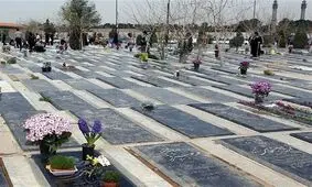کارچاق کن های بهشت‌ زهرا بدون دردسر مشغول کارند!