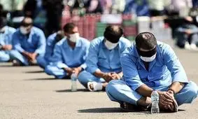 سرقت‌های سریالی با زاغ زنی‌های باند جسور