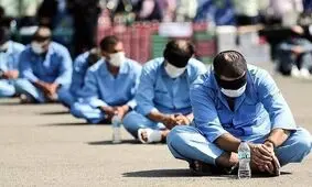 سرقت‌های سریالی با زاغ زنی‌های باند جسور