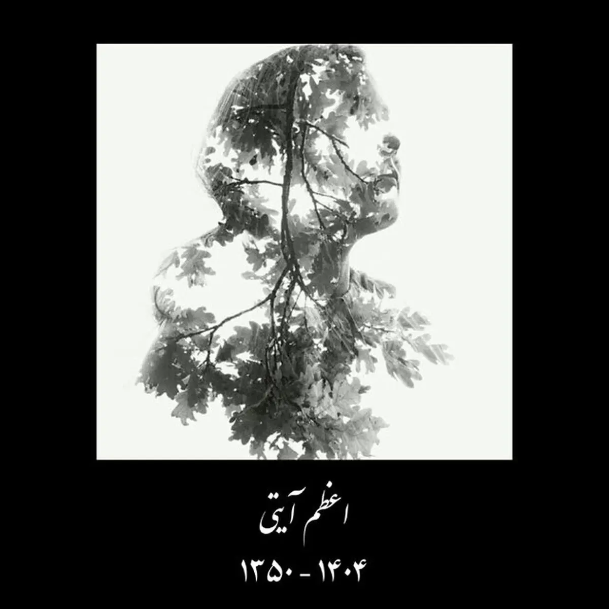 اعظم آیتی درگذشت
