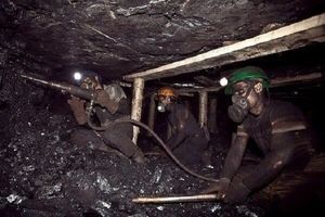 مشکلات بیمه کارگران معادن زغالسنگ رفع شود
