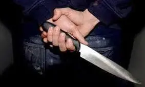 دستگیری گوشی قاپ های خشن در عملیات توفانی پلیس