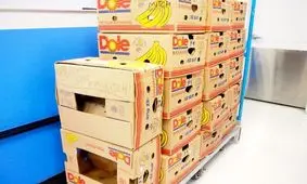 کارتن موز هم قیمتی شد؛ دانه ای ۲۵ هزار تومان!