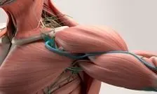 ۱۰ دشمن عضله‌سازی را بشناسید!