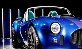 کبری؛ این مار خوش خط و خال 350 هزار دلاری!/ تصاویر