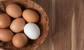 مصرف زرده تخم مرغ برای کهنسالان مضر است؟
