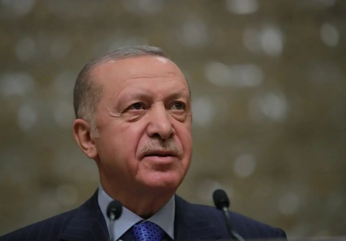 عقب نشینی اردوغان از تهدید به بریدن زبان یک خواننده در برابر فشار افکار عمومی

