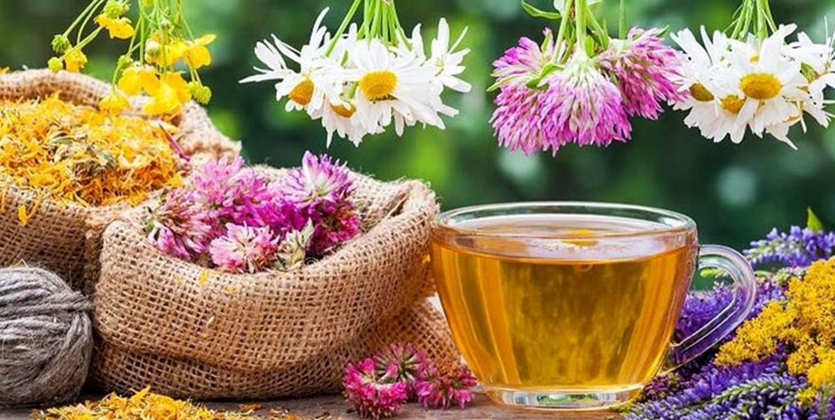 طرز تهیه ۱۵ دمنوش مخصوص روزهای سرد زمستان