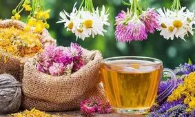 طرز تهیه ۱۵ دمنوش مخصوص روز‌های سرد زمستان