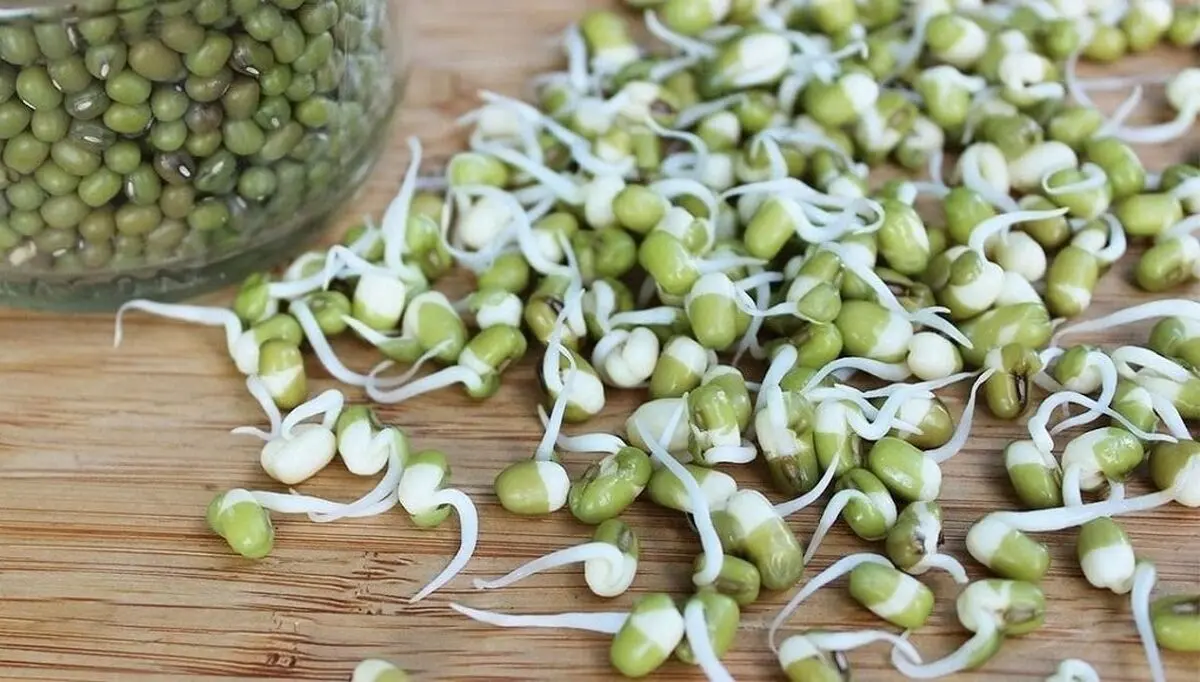 12 خواص جوانه ماش برای مو، لاغری، بارداری