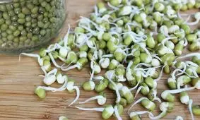 12 خواص جوانه ماش برای مو، لاغری، بارداری