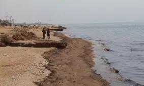 واکنش سازمان محیط‌زیست به فاجعه نفتی در جنوب کشور؛ انصاری: آلودگی نفتی سواحل قشم و هنگام ناشی از تجاوز نظامی است