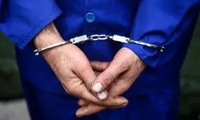 ۵۰۰ فقره سرقت برای تأمین سرمایه مهاجرت