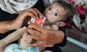 نباید اجازه داد فاجعه انسانی در غزه ادامه یابد

