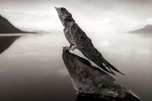 تصاویر دریاچه مرموزی که حیوانات را به سنگ تبدیل می‌کند!