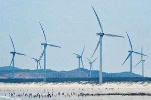 چین یک مزرعه بادی با ظرفیت تولید برق ۲۴۰ مگاوات راه‌اندازی کرد