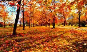 دما کاهش پیدا می کند؟