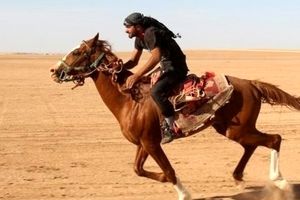  اولین مسابقه اسب‌های اصیل عرب در شمال شرقی سوریه/ ویدئو