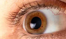 چگونه در سن بالا چشمان سالم داشته باشیم؟
