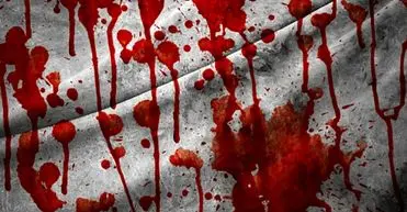 قتل مادر توسط پسر ۲۸ ساله/ بازداشت قاتل در صحنه جنایت