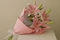 افزایش قیمت ۲۰۰ درصدی ترند این روزهای اینستاگرام؛ ۵ شاخه لیلیوم نزدیک به ۵ میلیون تومان