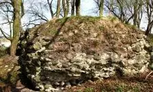 کشف «جواهر اربابی» در ویرانه‌ های قلعۀ قرون وسطایی/ عکس