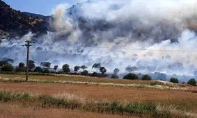 آتش‌ به جان کوه نارک گچساران افتاد/ ویدئو