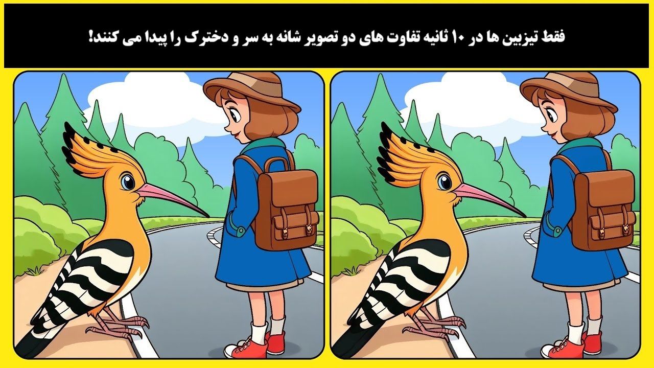 تفاوت تصویری دختر و شانه به سر