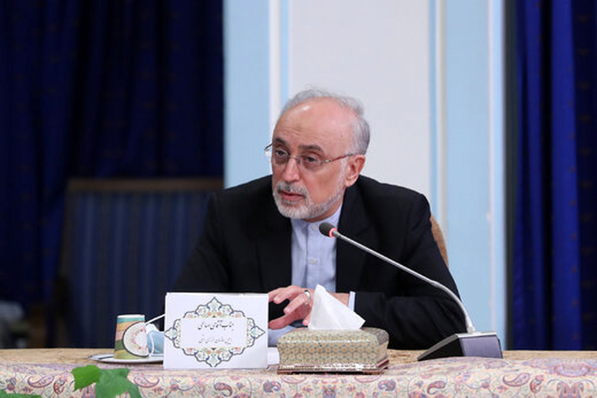 صالحی: برجام احیا نشود وارد کلاف سردرگمی میشویم که باز کردنش با خداست