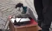 عروسک‌گردان هنرمند خیابانی