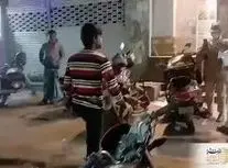 راننده مست با یک مار پلیس را تهدید کرد/ ویدئو