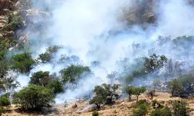 بیش از ۹۰ درصد آتش سوزی‌ جنگل‌ها و مراتع مربوط به حوزه زاگرس است

