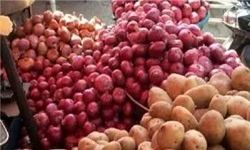 پیاز ارزان شد؟