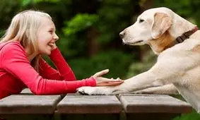 حرف زدن با حیوانات ممکن شد