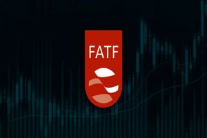 پول زور به خاطر نبود FATF می‌پردازیم