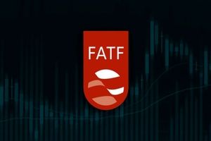 پول زور به خاطر نبود FATF می‌پردازیم