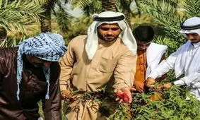 جلسه نماینده اهواز با وزیر میراث فرهنگی،گردشگری و صنایع دستی/ مهندس یوسفی: ظرفیت های گردشگری کوت عبدالله شناسایی شود/ترغیب گردشگران با معرفی جاذبه های گردشگری