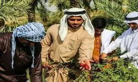 جلسه نماینده اهواز با وزیر میراث فرهنگی،گردشگری و صنایع دستی/ مهندس یوسفی: ظرفیت های گردشگری کوت عبدالله شناسایی شود/ترغیب گردشگران با معرفی جاذبه های گردشگری