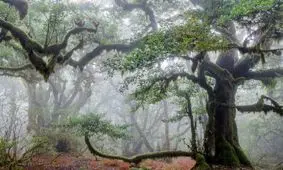 برترین تصاویر سال ۲۰۲۲ به انتخاب نشنال جئوگرافیک